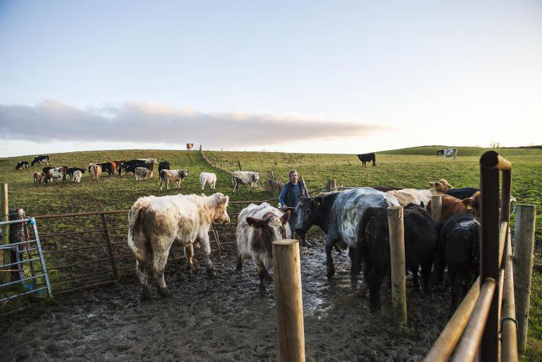 Weekly podcast: Young Farmer of the Year, CAP 2020 and labour shortage