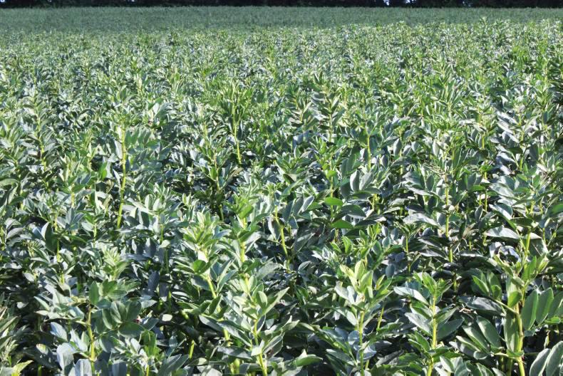 Changes to greening obligations for 2018