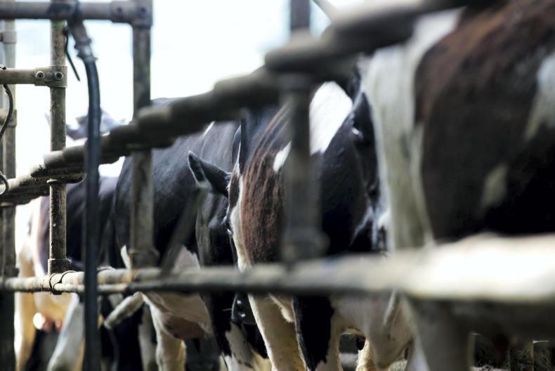 World milk production supply outpacing current demand