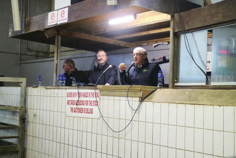 Clare Marts planning terminal breeding suckler scheme