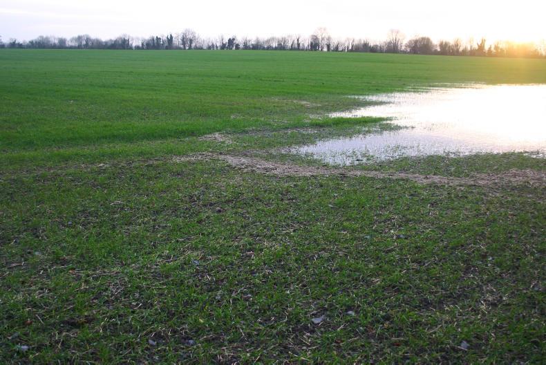 Tillage management: temperatures drop should end planting opportunities