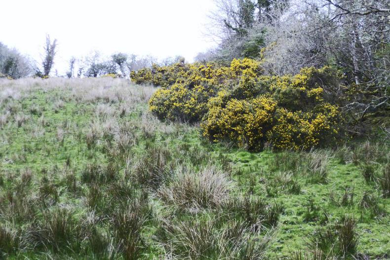 Exclusive: farmers in line for massive land penalty