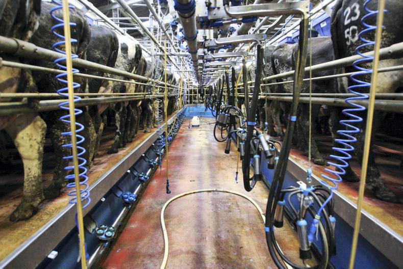 Agri jobs: assistant mart manager, dairy and pig staff wanted