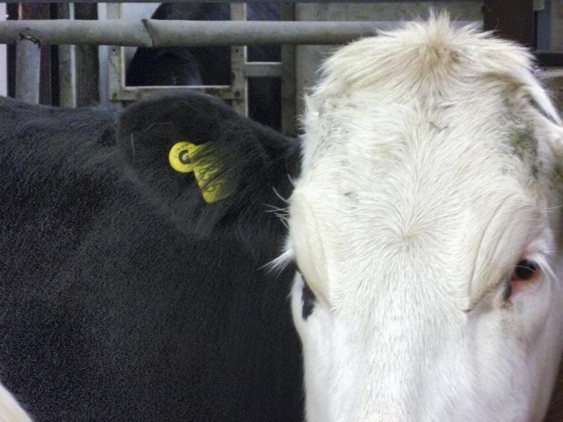 Tag prices: what's changed since last year?