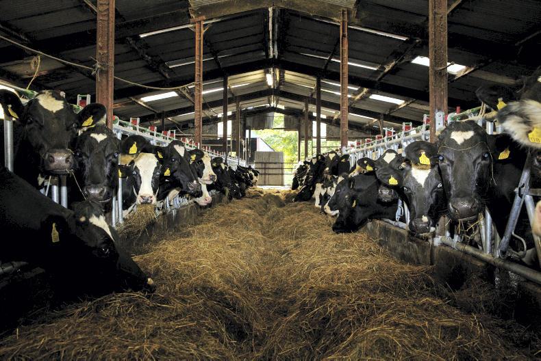 Scratch-it-lucky: lucky Leitrim farmer wins big on scratch card