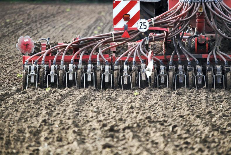 Three new spring barleys on AHDB Recommended Lists