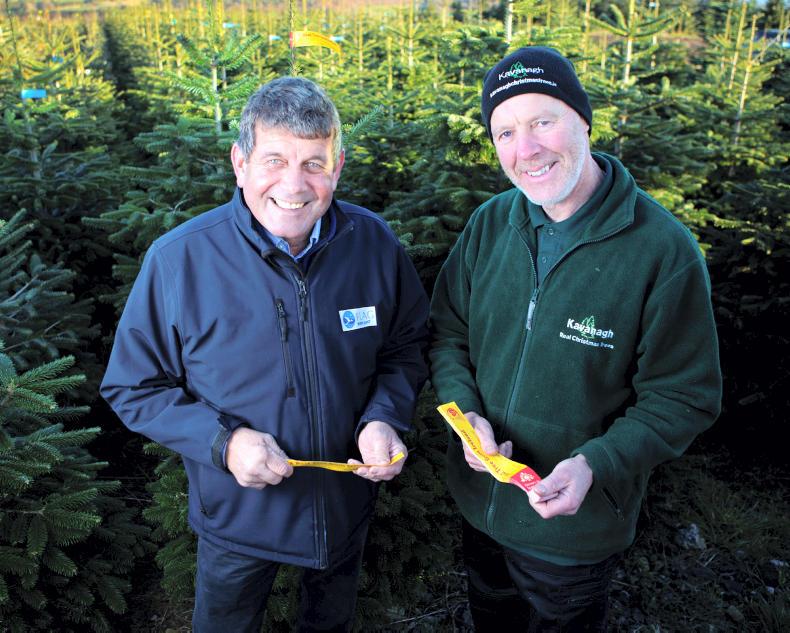 Minister prioritises planting and wood mobilisation 