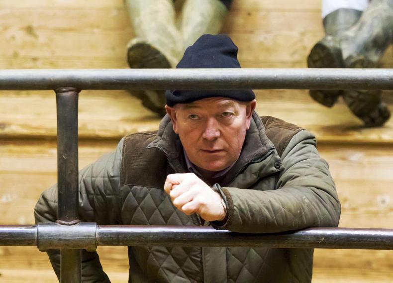 Around the country in pictures this week                         