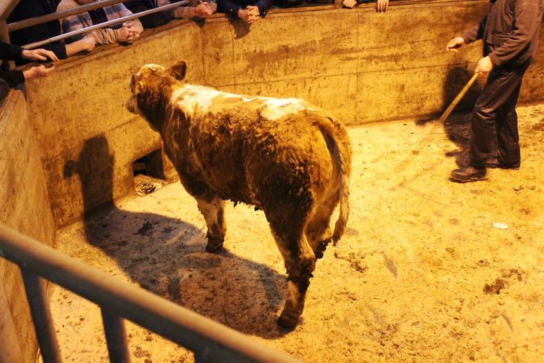 Beef prices firm as weather slows cattle supply