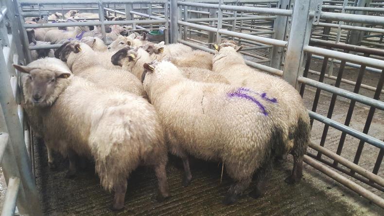 News in brief from Northern Ireland