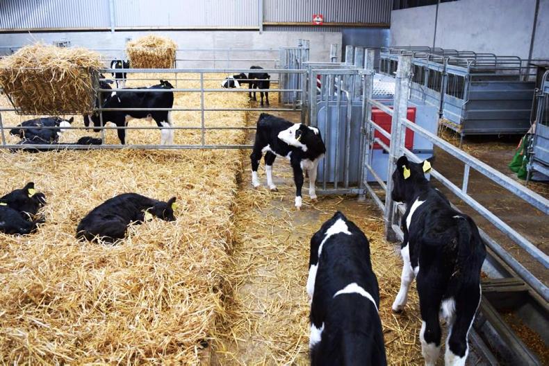 House for 100 calves in Waterford Premium