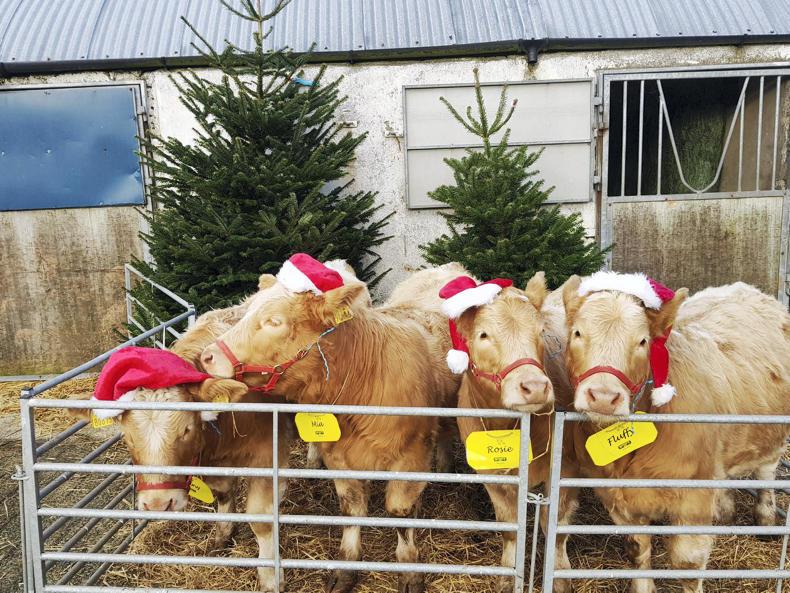 The Irish Farmers Journal's most entertaining reads of 2017