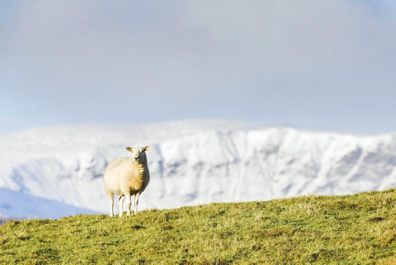 New year LFASS boost for farmers