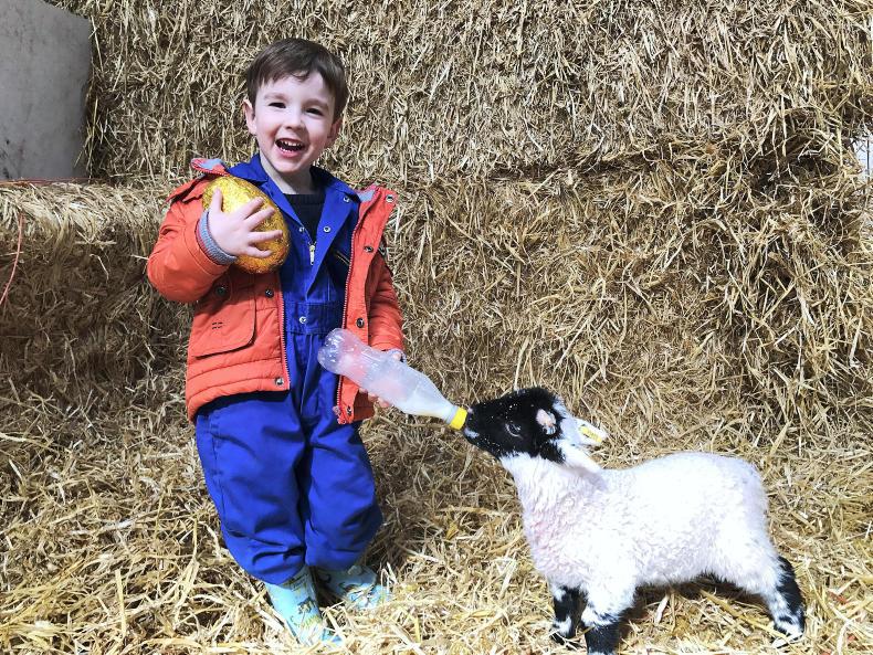 The best readers' pictures from 2017