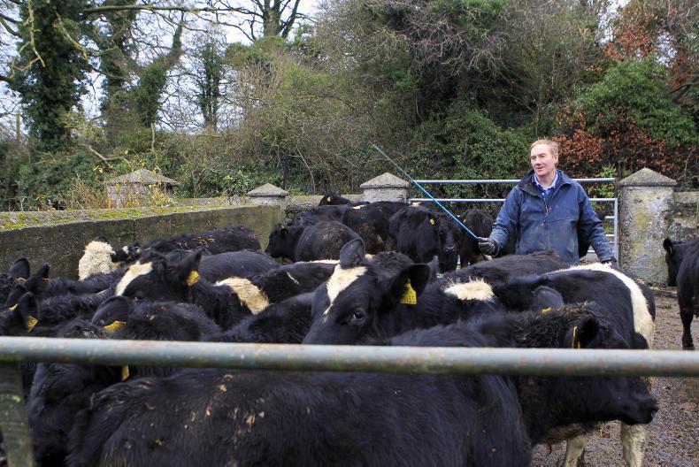 In pictures: farming around the country this week                      