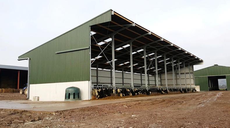 Watch: impressive 10-bay beef shed with a view to expansion