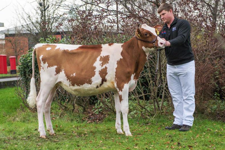 9,000gns leads 31st Carlisle black and white sale