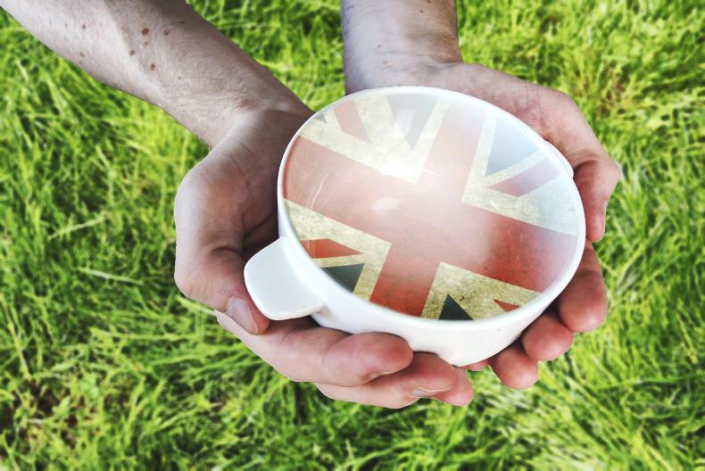 Dempsey at Large: Brexit progress while Mercosur stalls