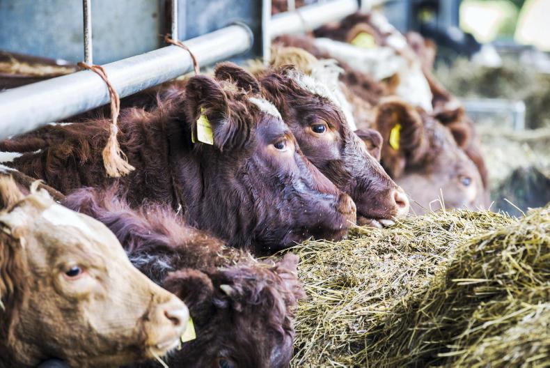 Mixed reaction from farming organisations