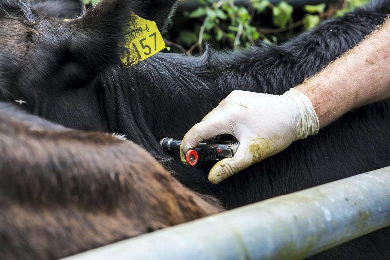 News in-brief from Northern Ireland