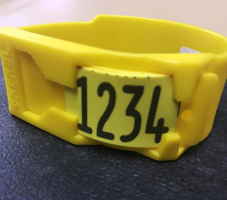 New products from Cormac Tagging