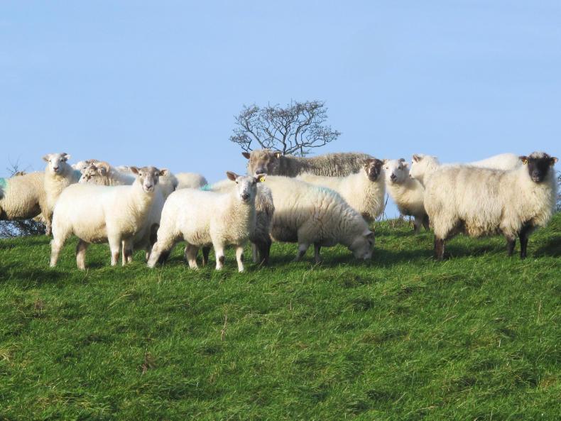 SWS 15% top-up in early 2018                   