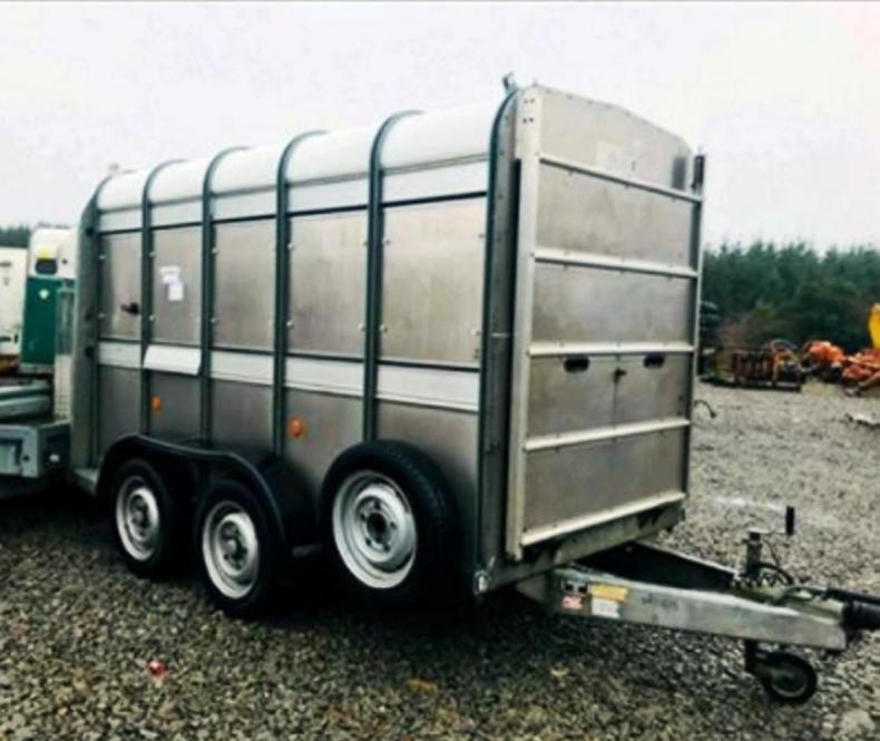 Cattle trailer stolen while farmer was trying to catch escaped bull