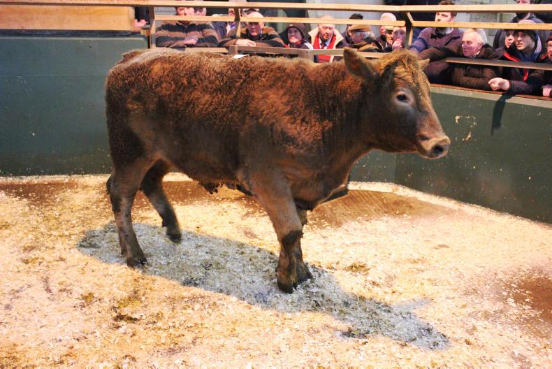 Beef trade finishes the year unchanged