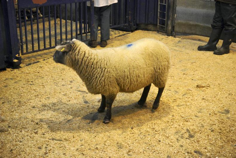 Huntly Mart Wednesday 27 December