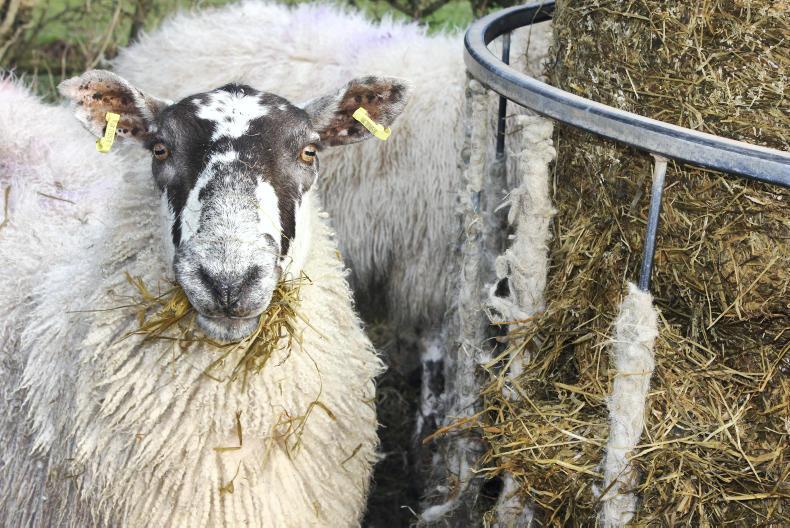 Watch: 2017 silage – good, but could do better
