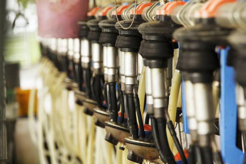 New dairy entrants driving milk supply