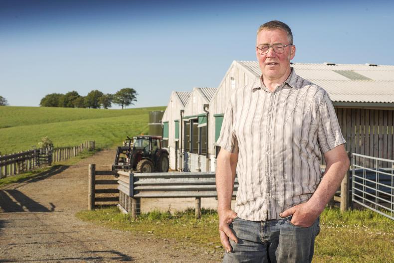 Industry group to drive forward cattle EID