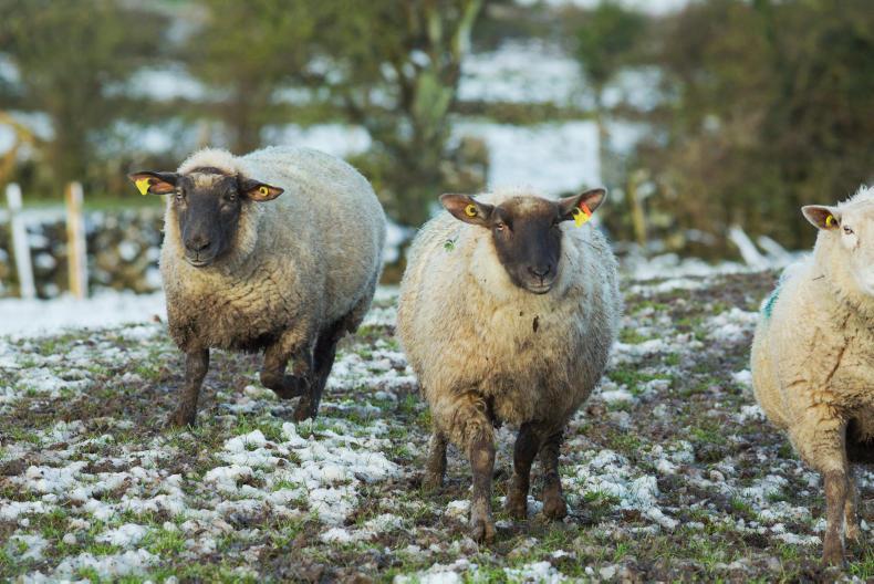 Cold and wet week ahead       