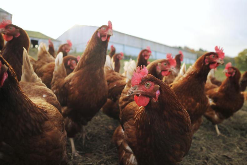 Scottish news in brief        