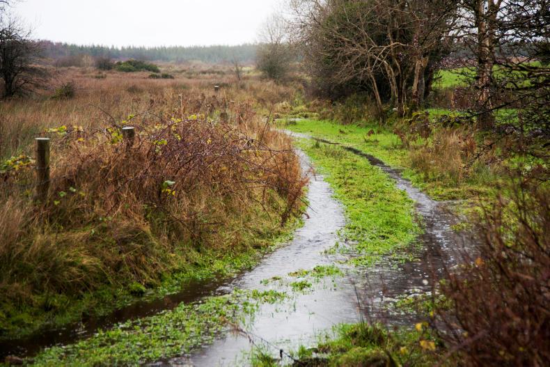 Status yellow rainfall warning issued