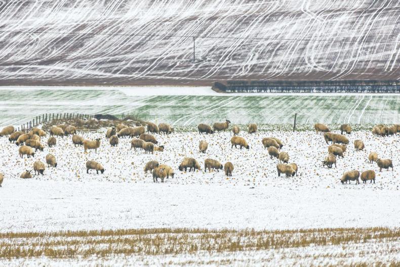 Government misses payment targets