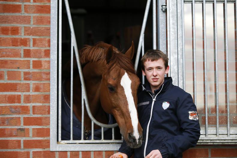 Allen takes over management of his five stallions