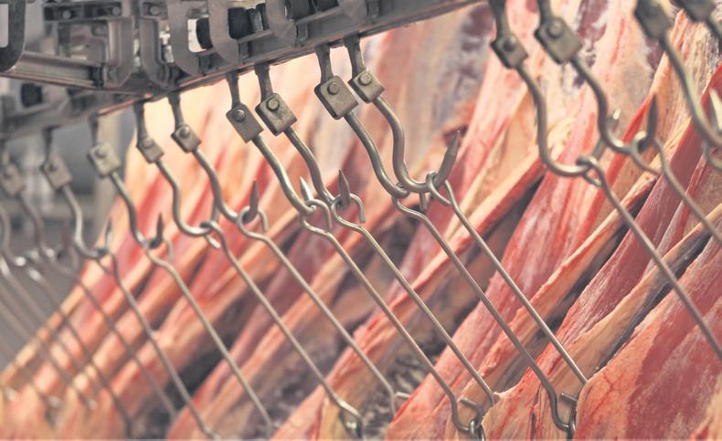 Beef factory leagues: what the factories paid for your cattle                