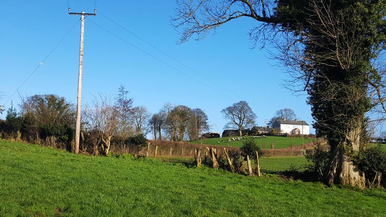 Tax system working against young farmers