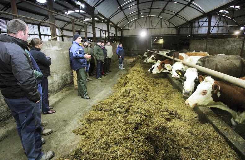 Tackling dermatitis in a dairy herd