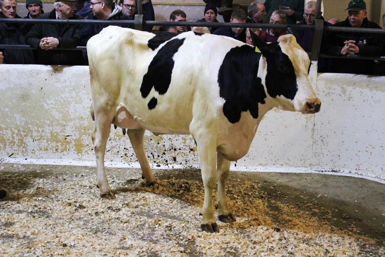 Dairy news from Northern Ireland