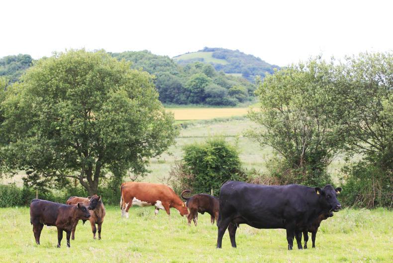 Half of organic farmers await payments