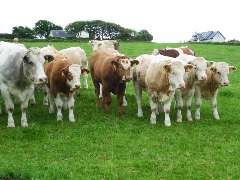 Divisive decision on flat rate by 2021