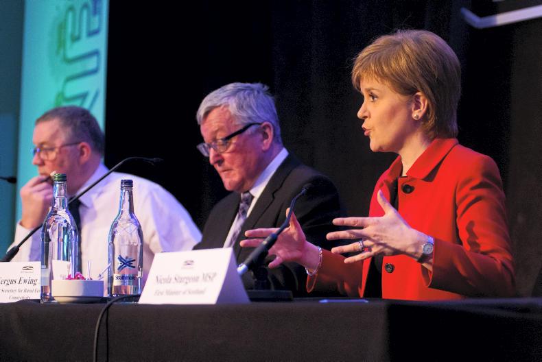 Single market membership best way to protect economy, says Scottish Government
