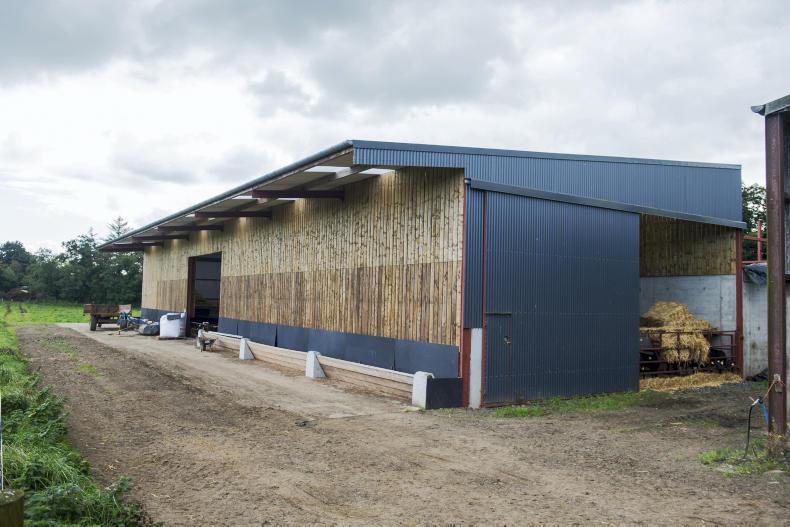 Feeder central to calf shed design