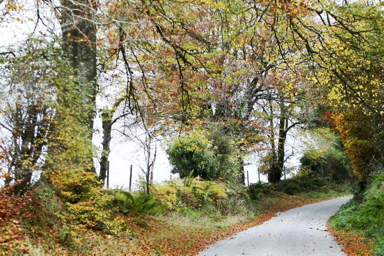 CPO powers to be strengthened