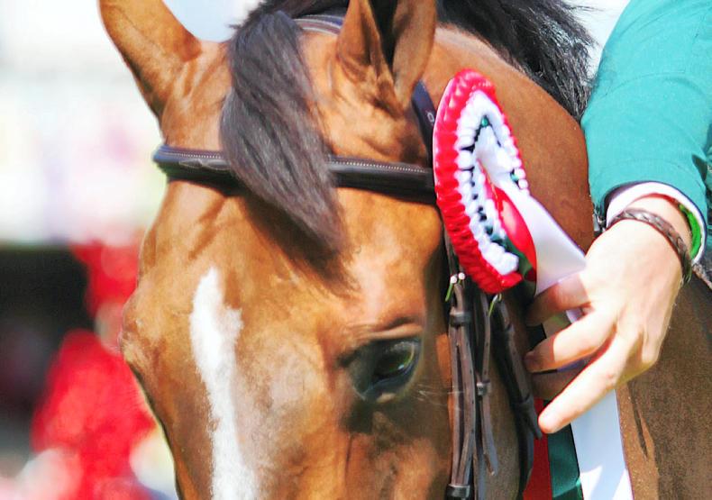 Impressive results for Irish riders on international circuit