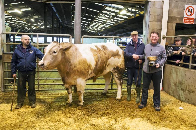 Watch: top price of €2,900 at Carnew Mart beef show and sale