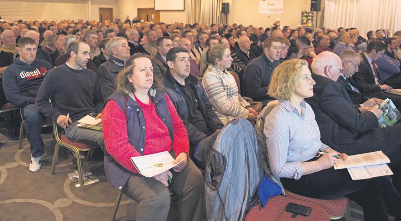 Meat quality study favours castrates over ram lambs