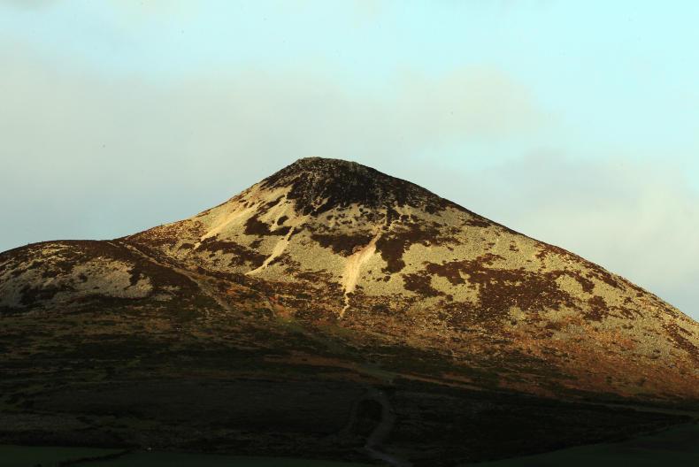 Wicklow sheep farmers not feeling the love